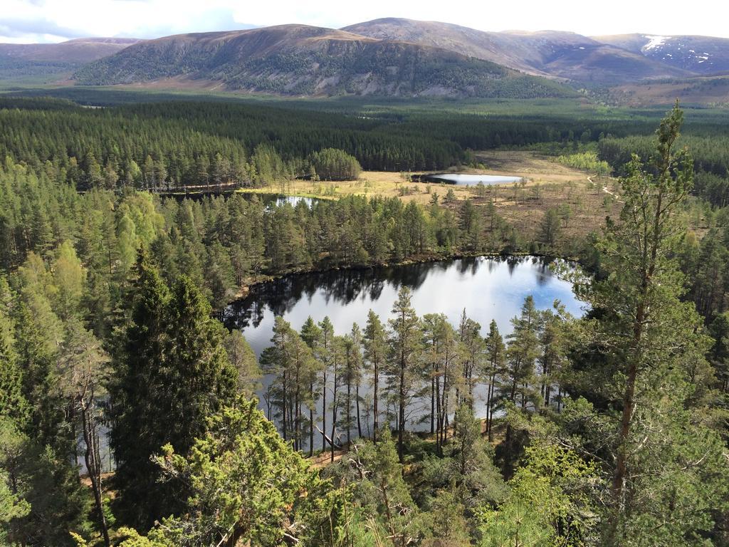 Riverbank Lodge Aviemore Exterior photo